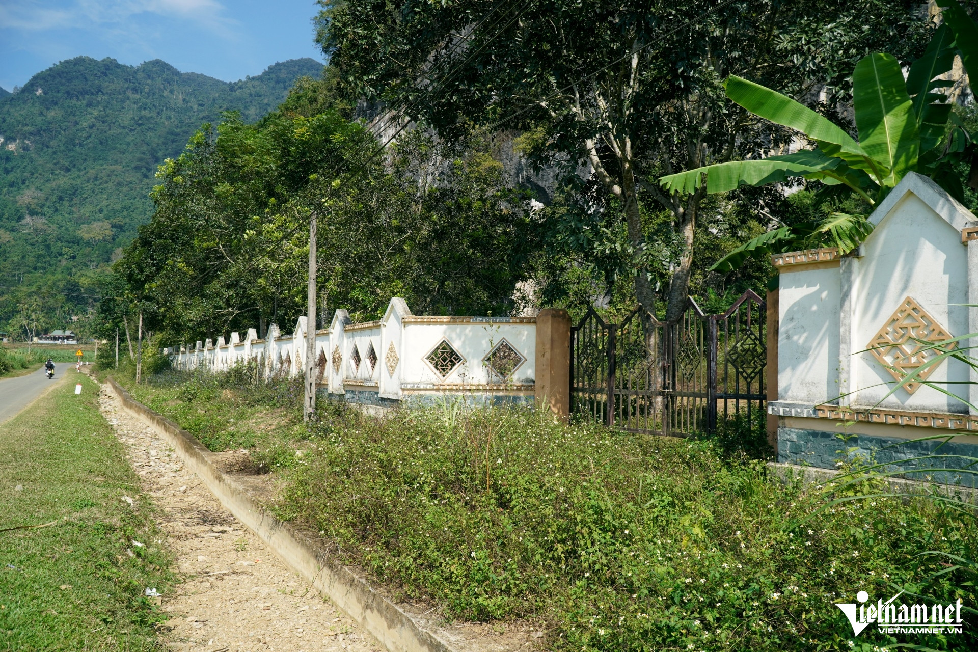 W-a1Cỏ mọc um tùm ở khu di tích .JPG.jpg