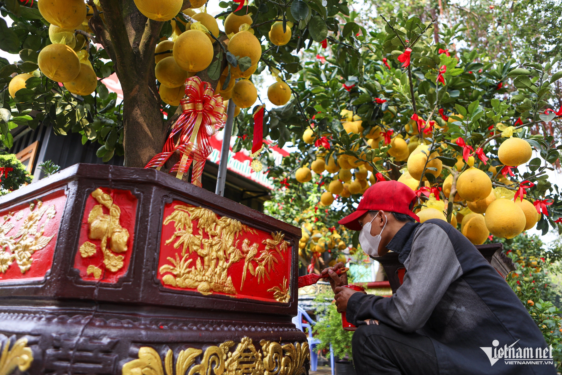 W-bưởi diễn, TPHCM.jpg