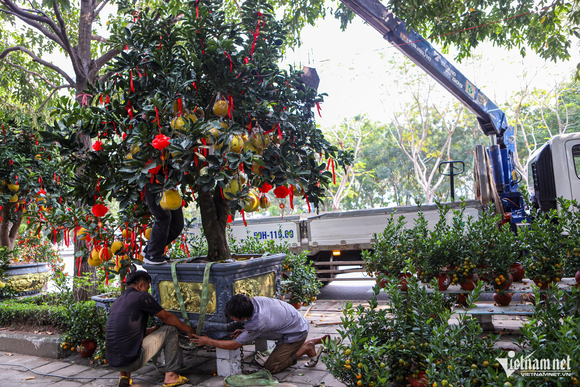 W-Bưởi diễn, TPHCM.jpg