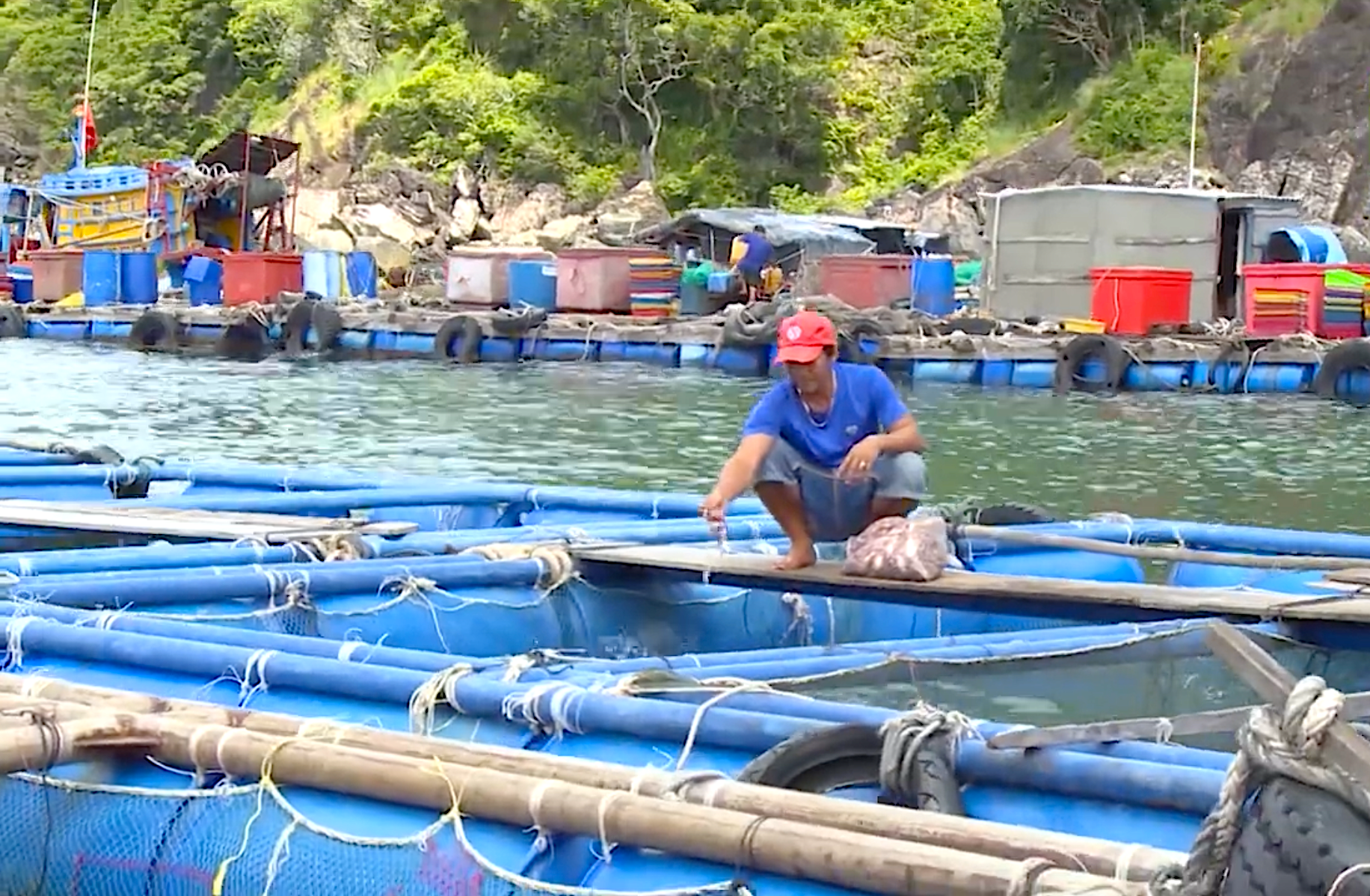 Ứng dụng công nghệ NIRS trong kiểm định chất lượng thủy sản
