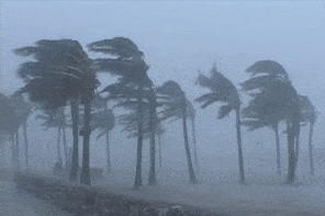 Bản tin trưa 1/10: Bão Bualoi vừa tan đã xuất hiện 'mầm mống' bão số 11