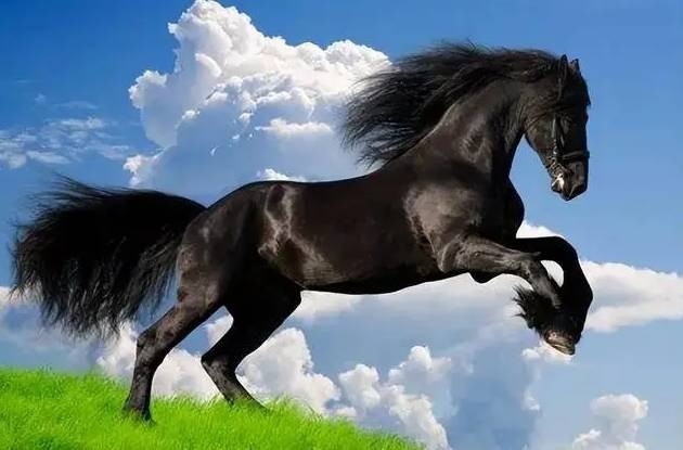 3 con giáp gặp may mắn, phất lên bất ngờ trong tháng 10 dương lịch