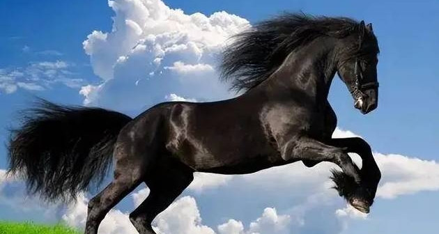 3 con giáp gặp may mắn, phất lên bất ngờ trong tháng 10 dương lịch