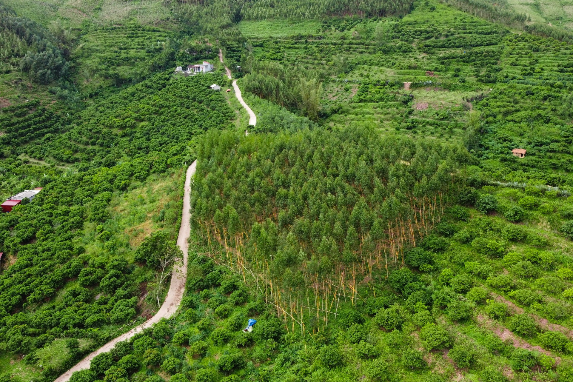 Ban hành tiêu chí, quy trình xác định các dân tộc có khó khăn đặc thù