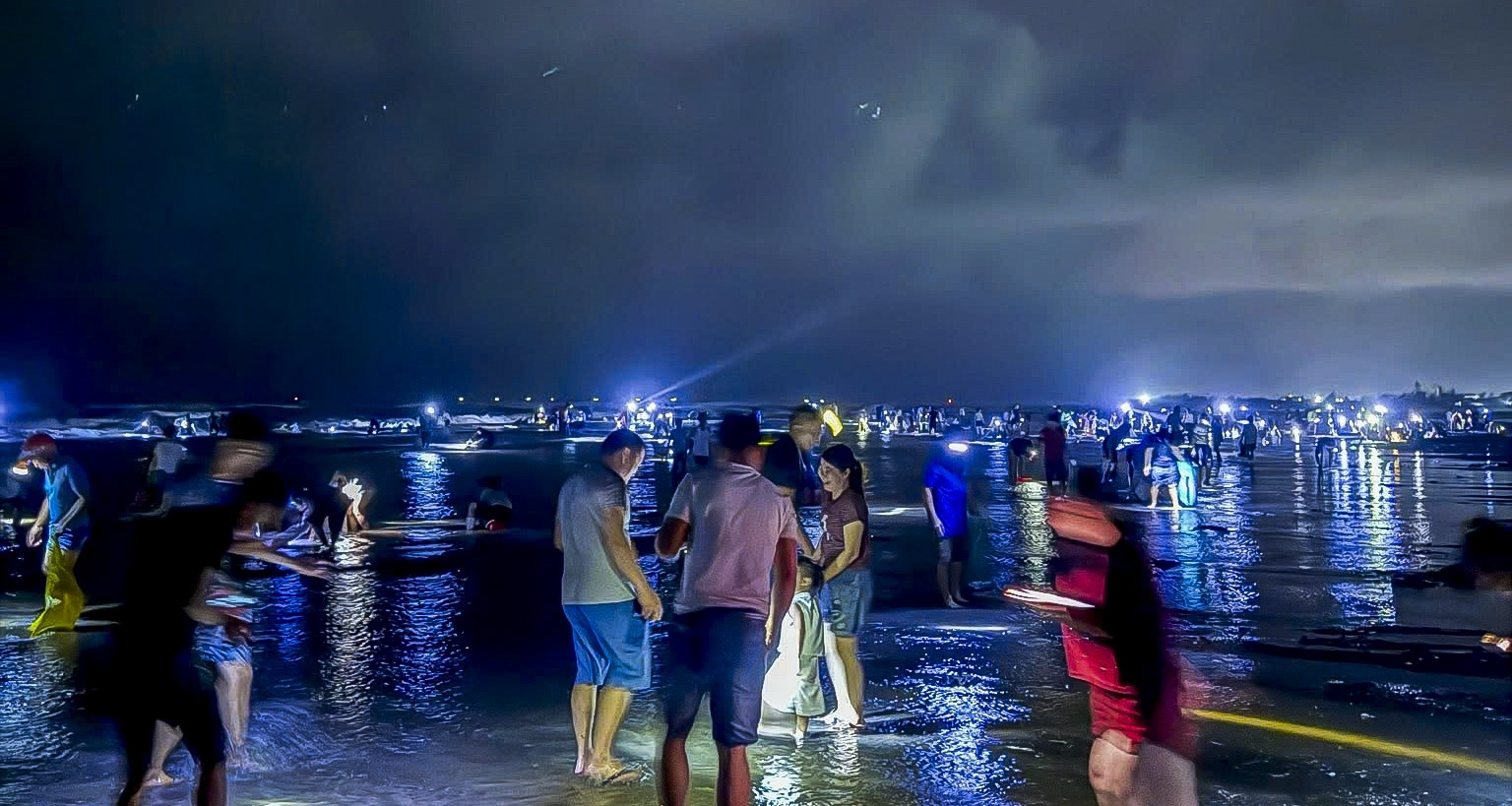 Cả làng rủ nhau mang bao tải, soi đèn săn ‘lộc biển’ ở Ninh Bình