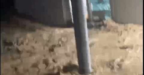 Dân Cao Bằng oằn mình chống chịu trận lũ lớn nhất 40 năm qua