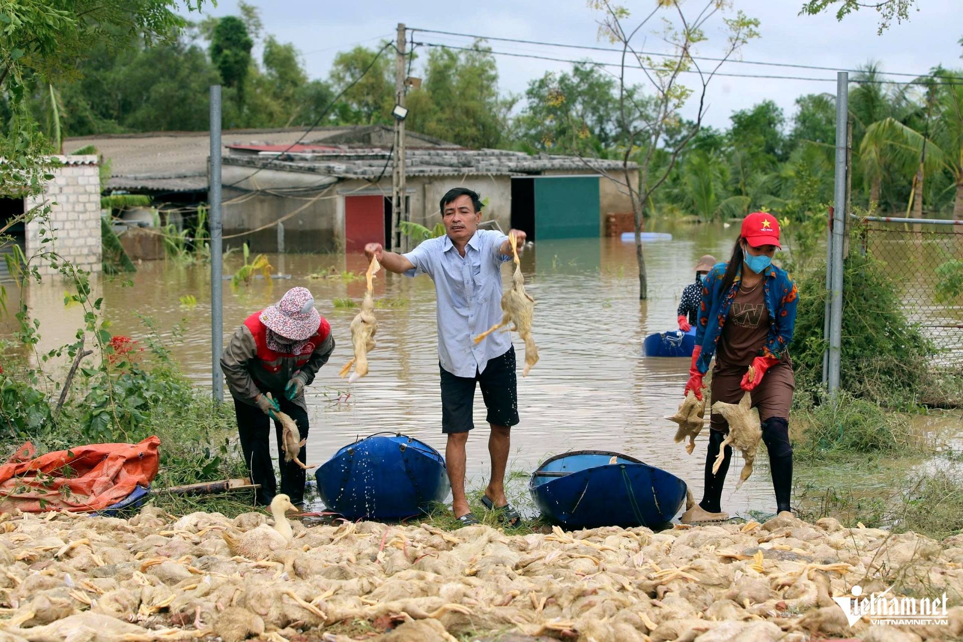 W-a2Vớt xác vịt mỏi tay.jpg