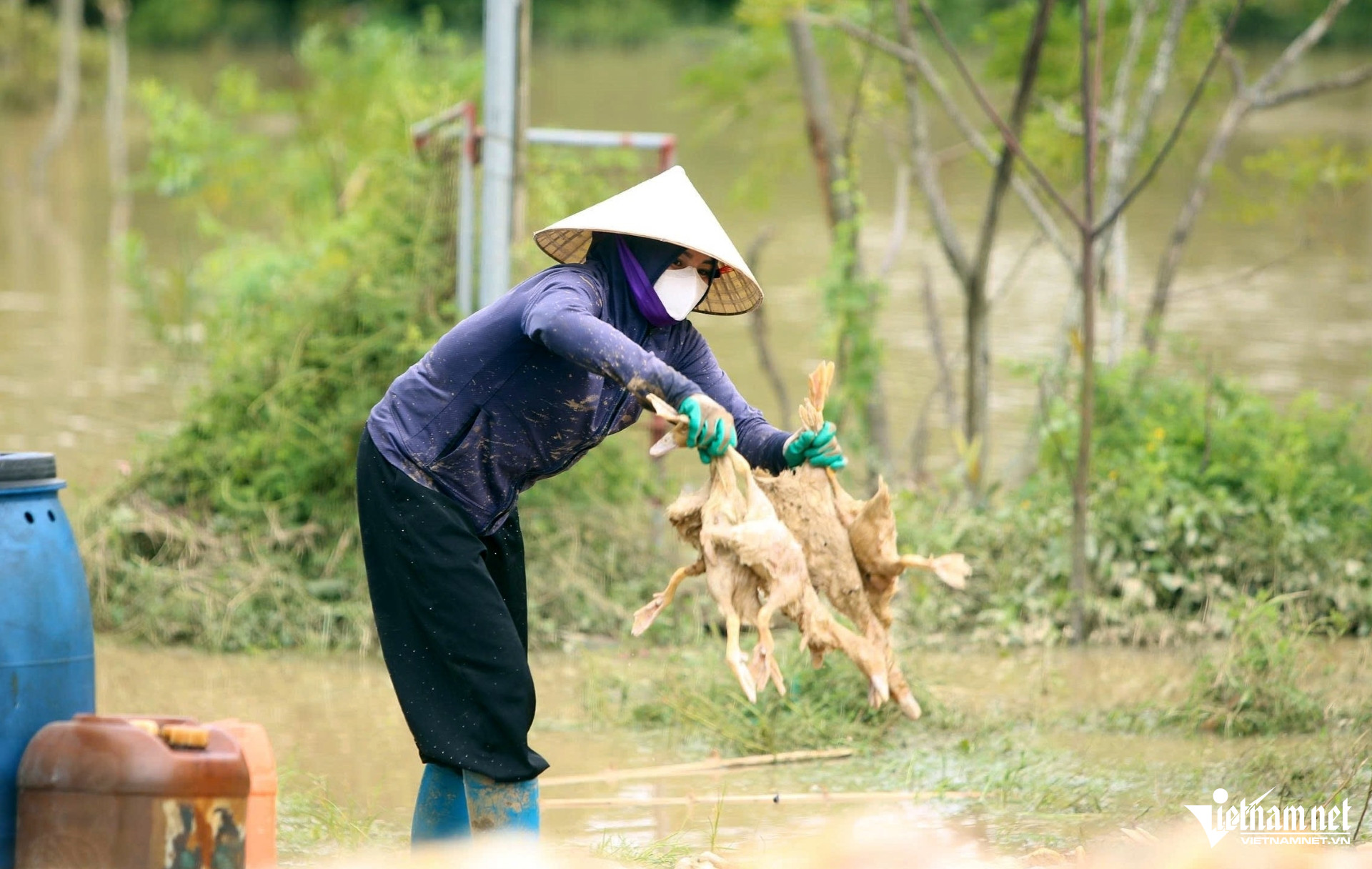 W-a3Vớt xác vịt mỏi tay.jpg