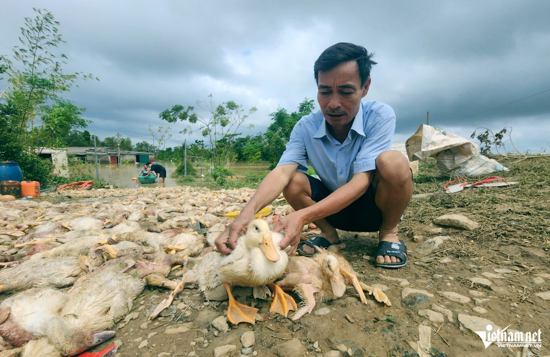 W-a5Vớt xác vịt mỏi tay.jpg