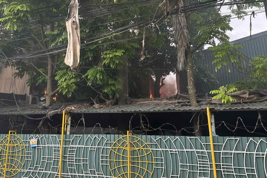 Bản tin chiều 10/10: Sau tiếng nổ lớn, kho dược ở Hà Nội bốc cháy dữ dội