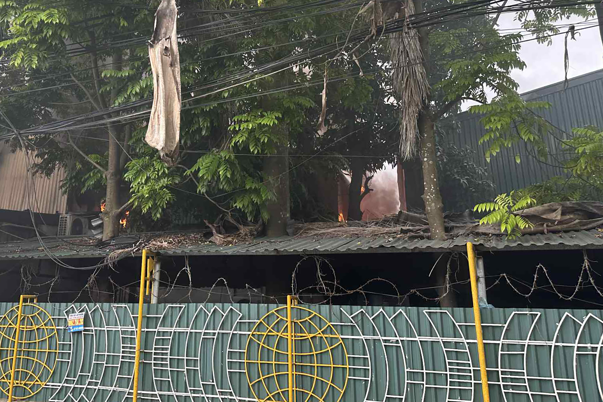 638c3024 426f 46d0 8183 2a977be3aace.jpeg