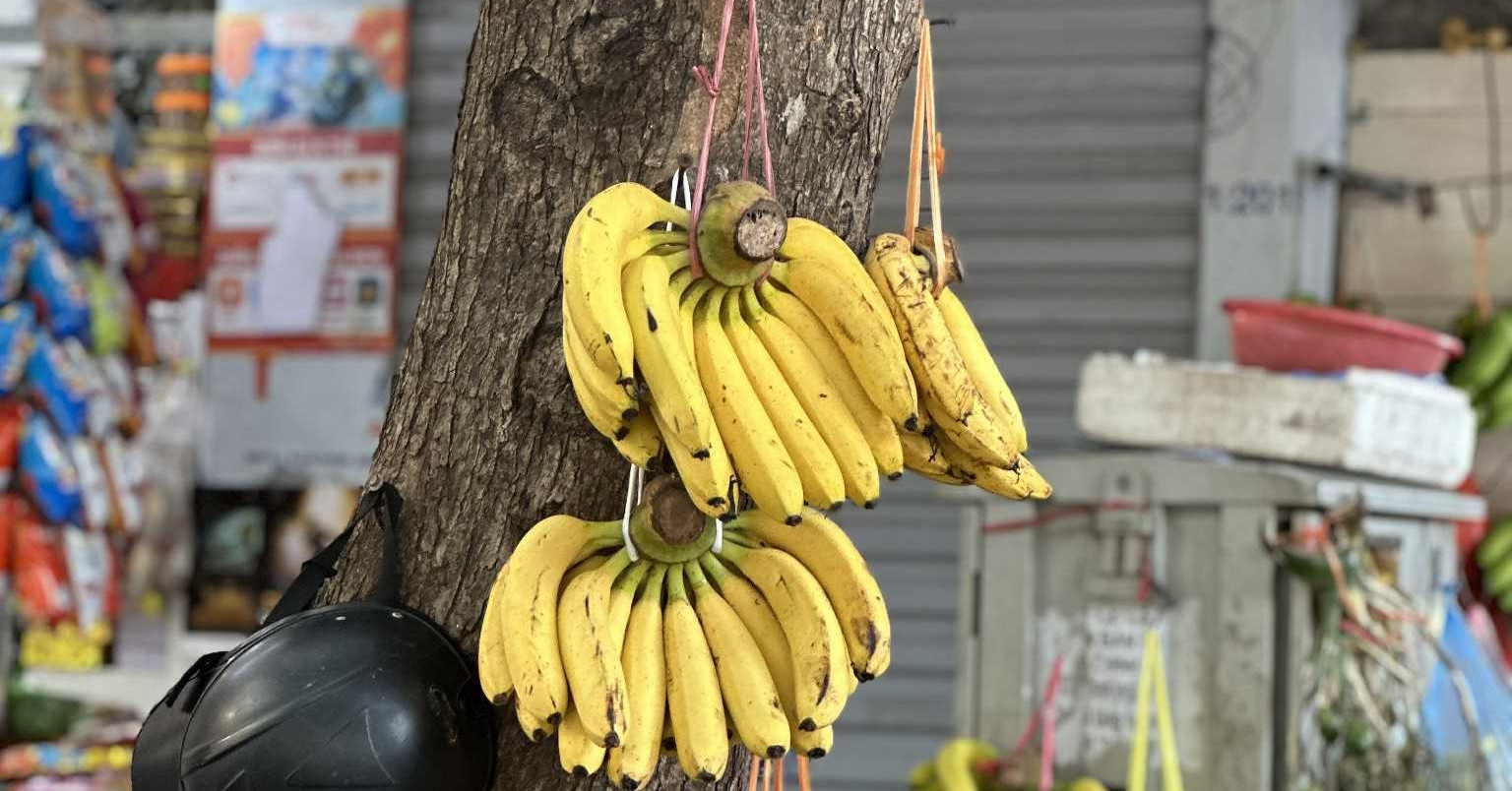 Ăn chuối thường xuyên trong 6 tháng, cơ thể sẽ có 4 thay đổi lớn