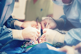 Cô giáo hiến gan cứu chồng mắc ung thư Điều gì xảy ra với người đàn ông được ghép gan lợn?