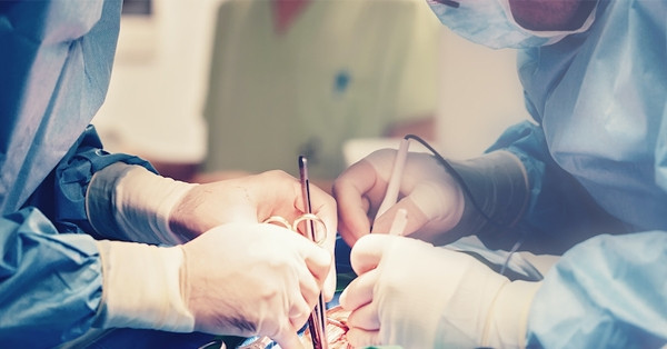 Điều gì xảy ra với người đàn ông được ghép gan lợn?