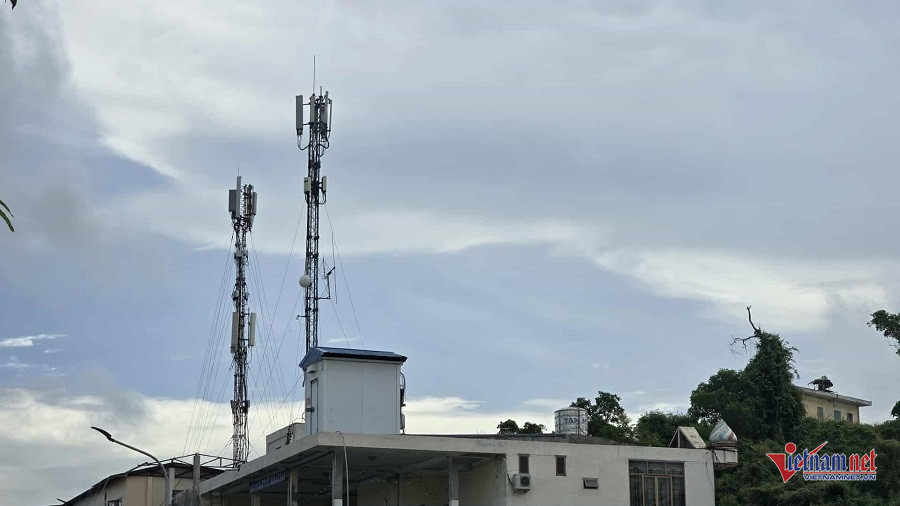 W-17cd2711 f958 424b 999e 041dbe645e71.jpg