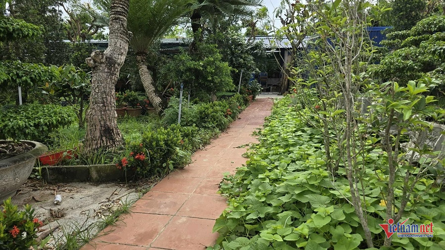 W-6185e827 49d3 45da bdb9 d5a38bf8efa6.jpg