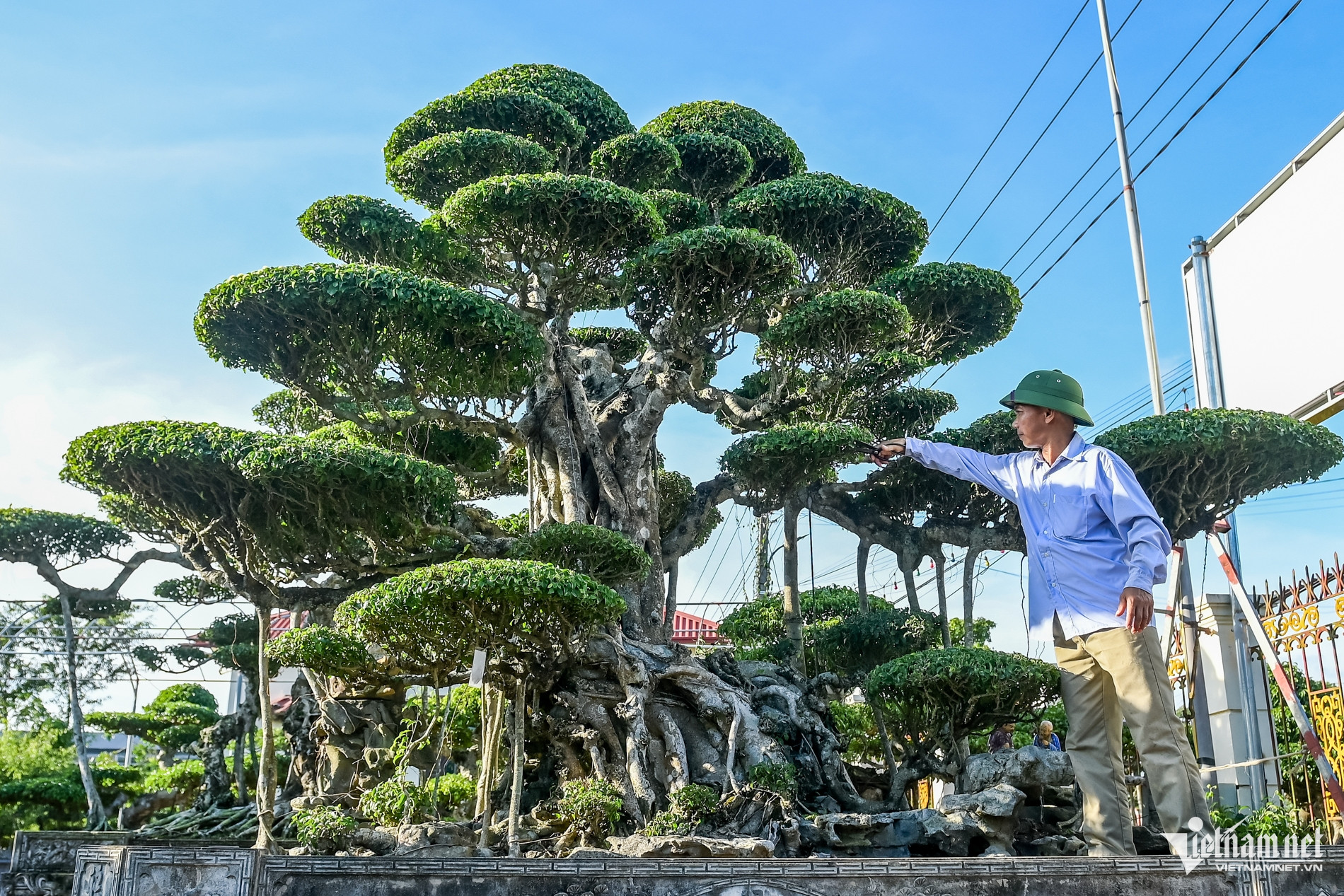 W-đại gia nông dân_2.jpg