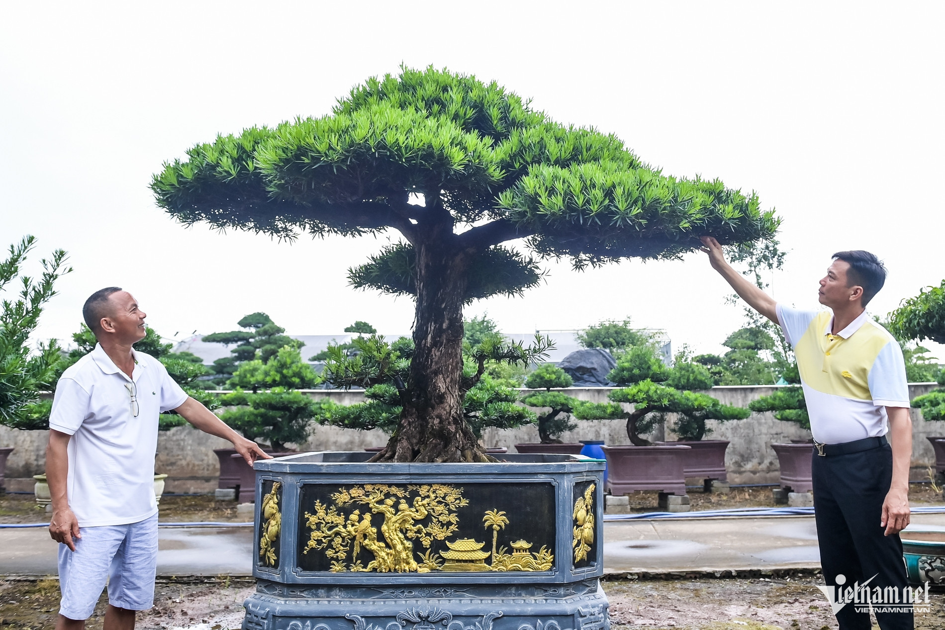 W-đại gia nông dân_6.jpg