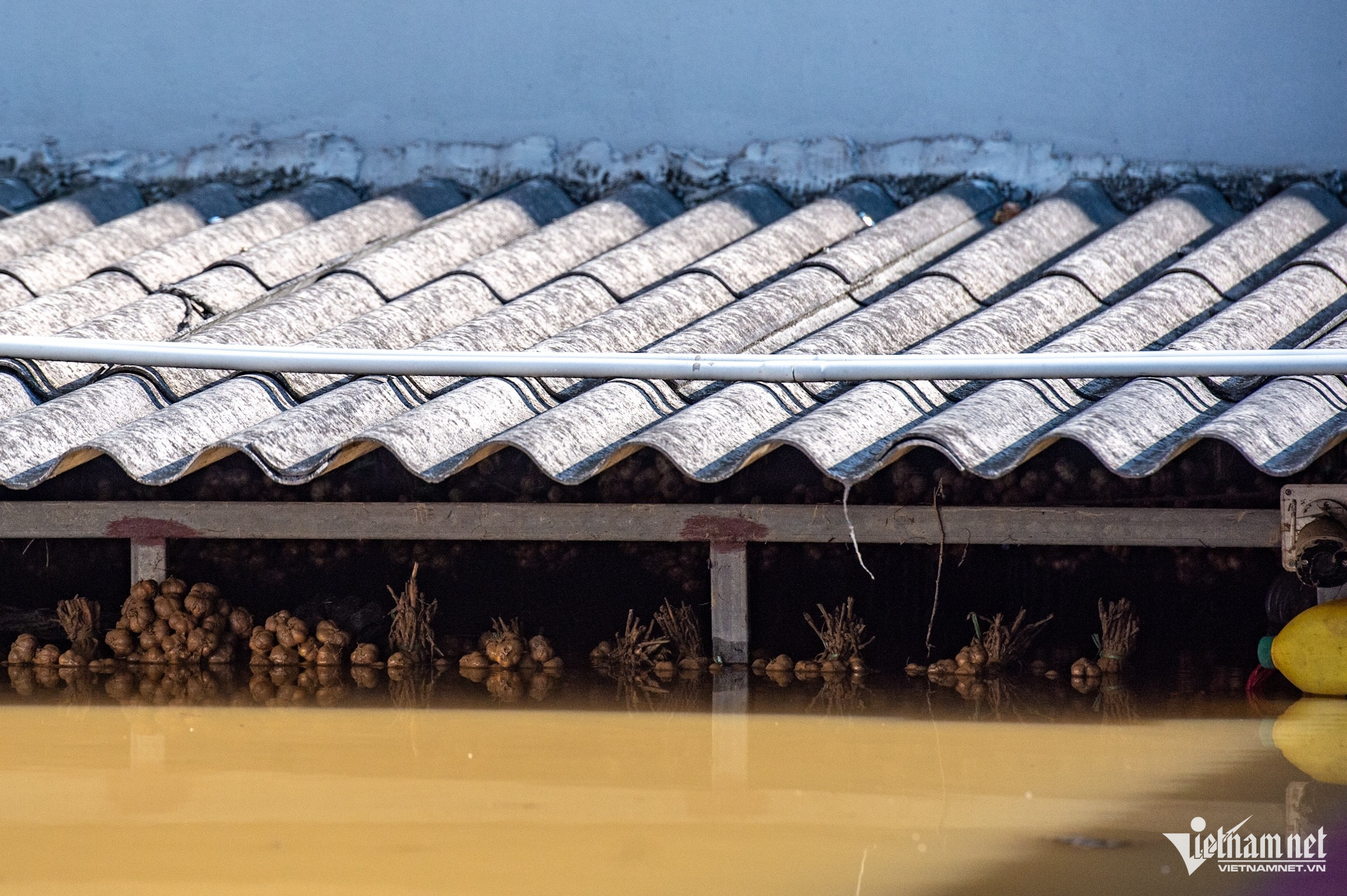 W-lulut_ngaplut_bacninh_bacgiang (44).jpg