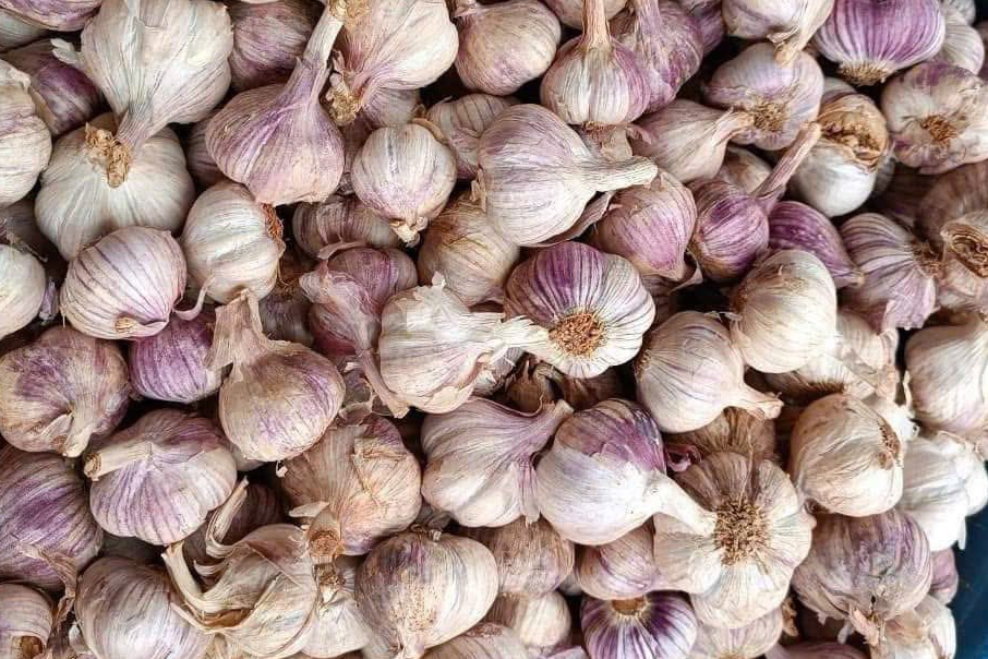 2 lý do bạn nên ăn tỏi mỗi ngày