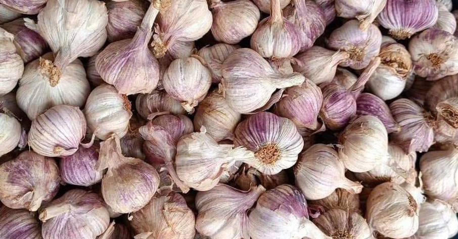 2 lý do bạn nên ăn tỏi mỗi ngày