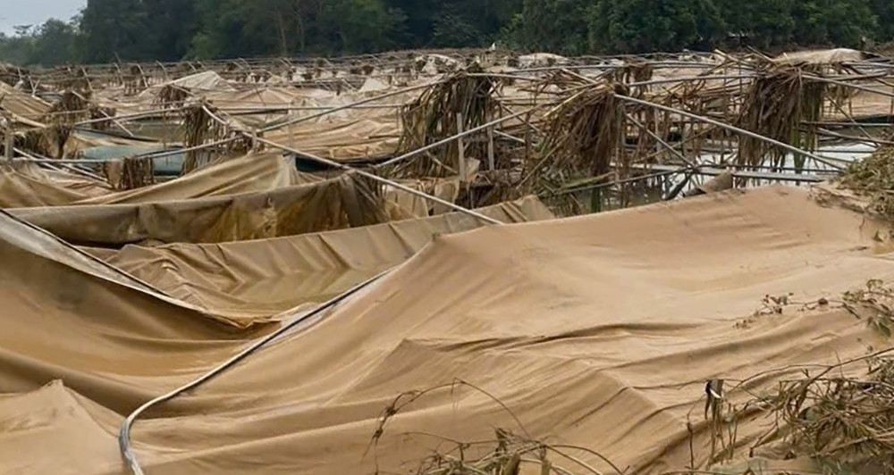 Cảnh tượng thắt lòng sau lũ dữ ở Cao Bằng