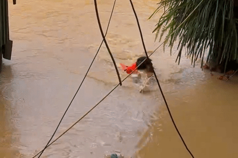 Vợ reo vui khi chồng bơi hơn 5 tiếng về nhà sau đêm mắc kẹt vì nước lũ