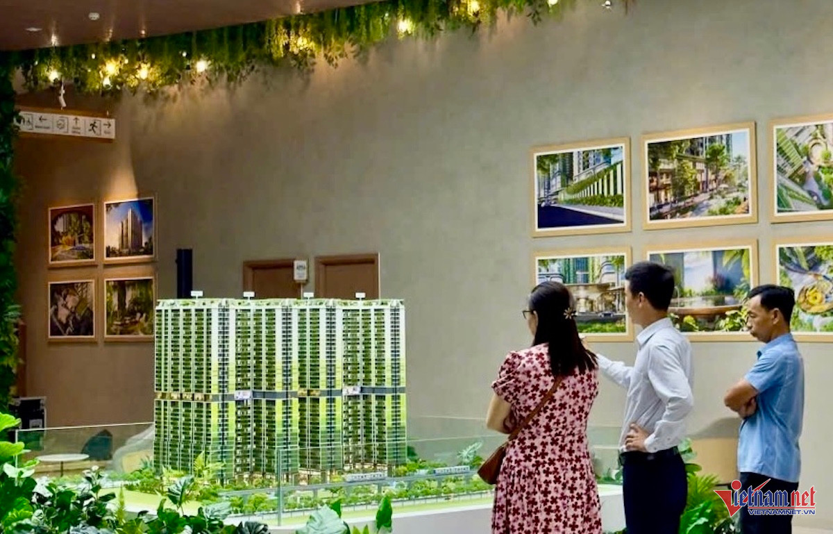 W-dự án căn hộ.jpg