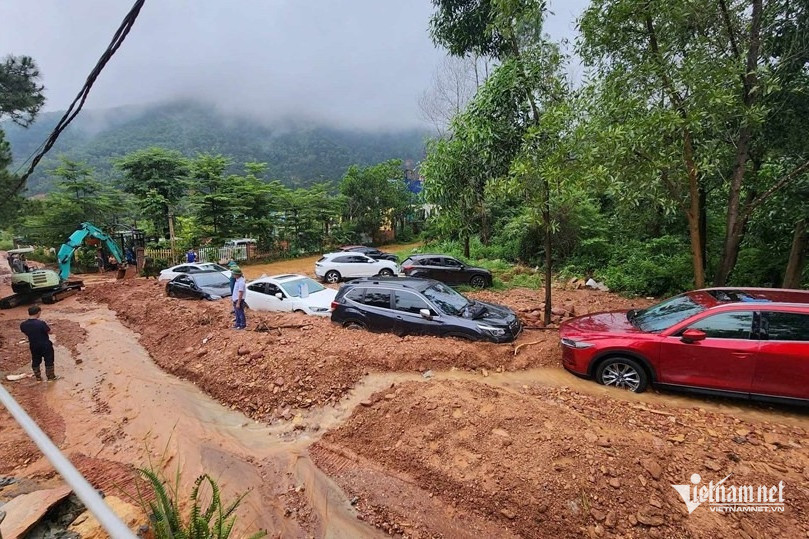 W-o to ngap bun dat 44 2096.jpeg