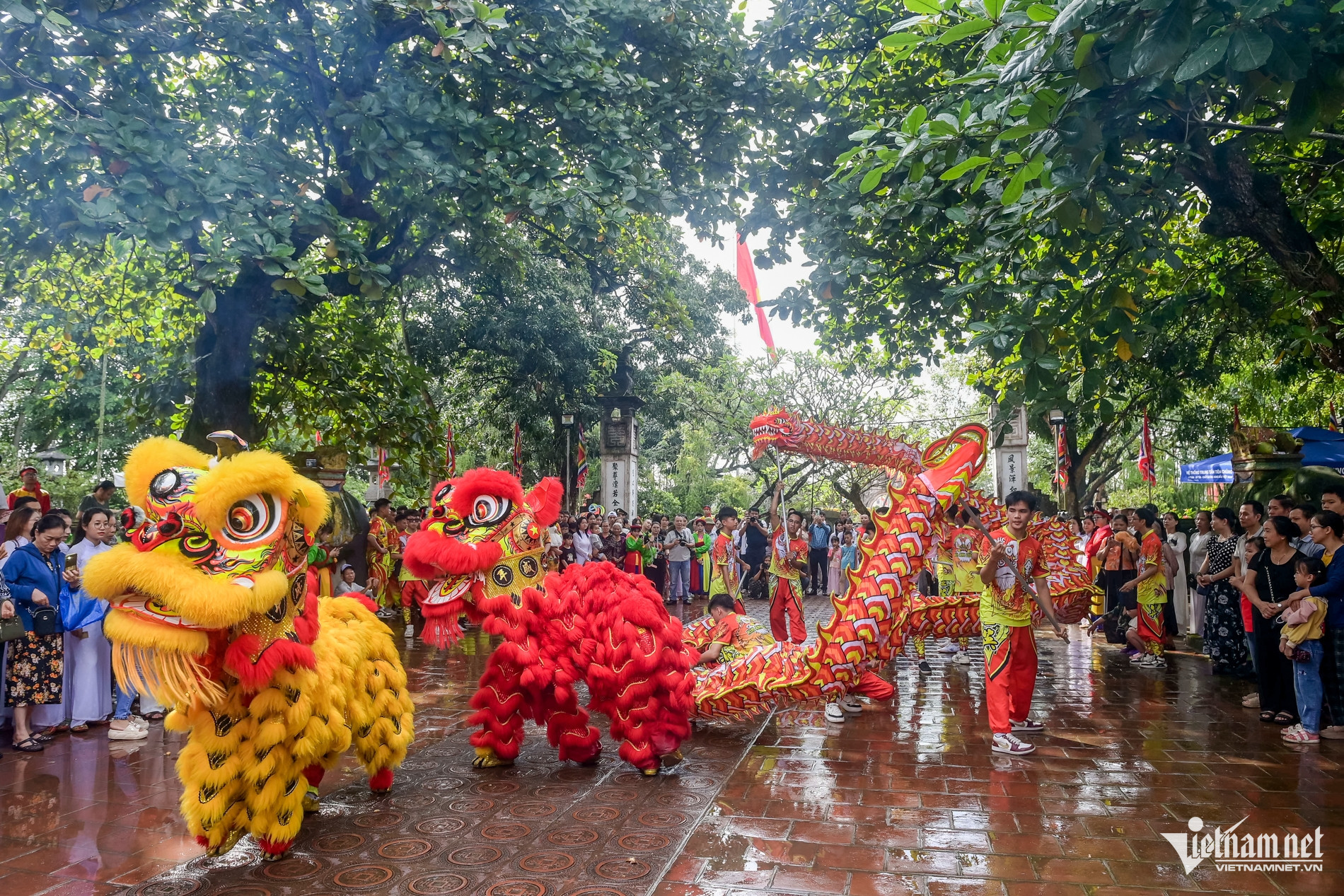 W-Thánh Trần_10.jpg