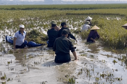 400 chiến sĩ Công an Hà Nội chạy đua dọn dẹp tại 'điểm nóng' sau lũ lịch sử