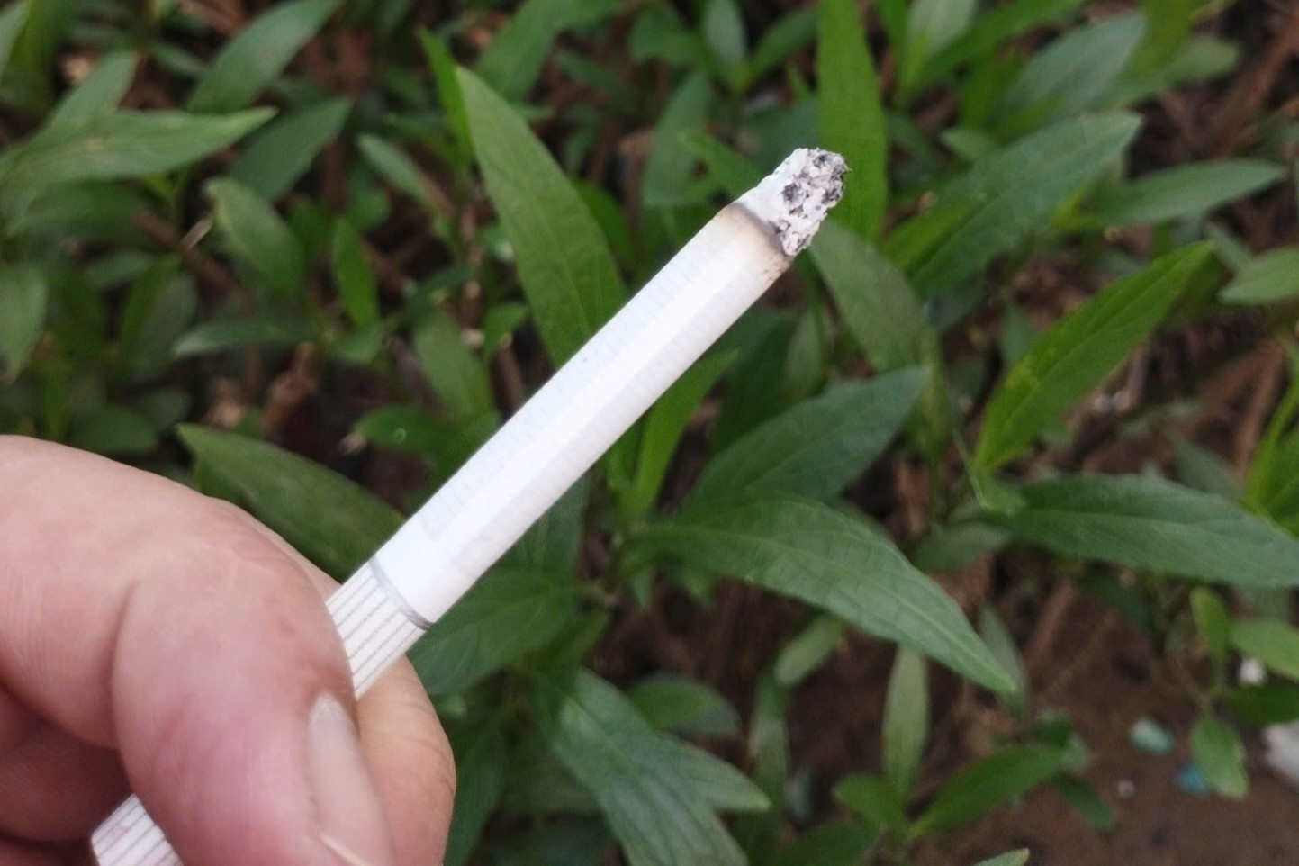 Cán bộ, nhân viên y tế được truyền thông phòng chống tác hại thuốc lá