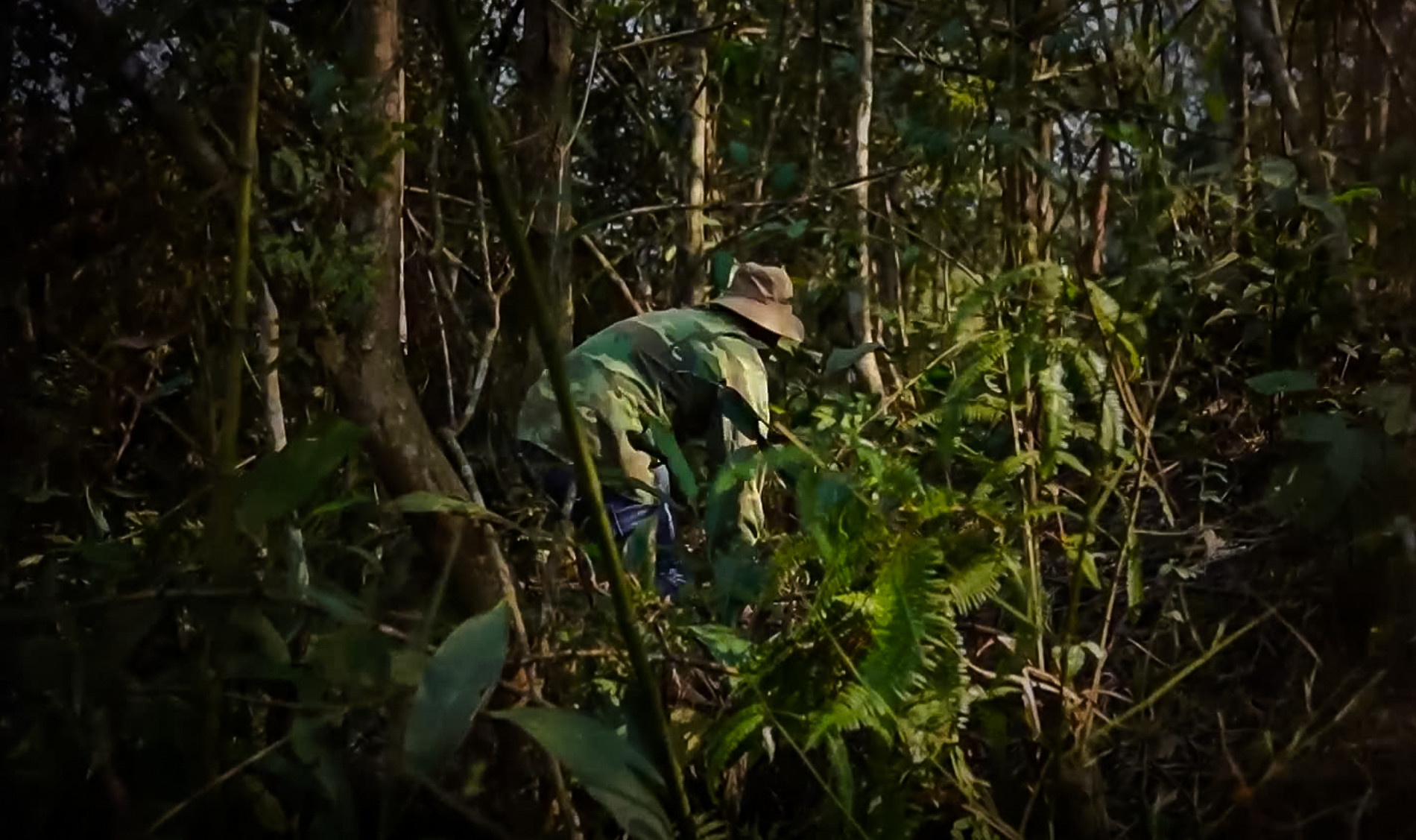 Người rừng_1.jpg