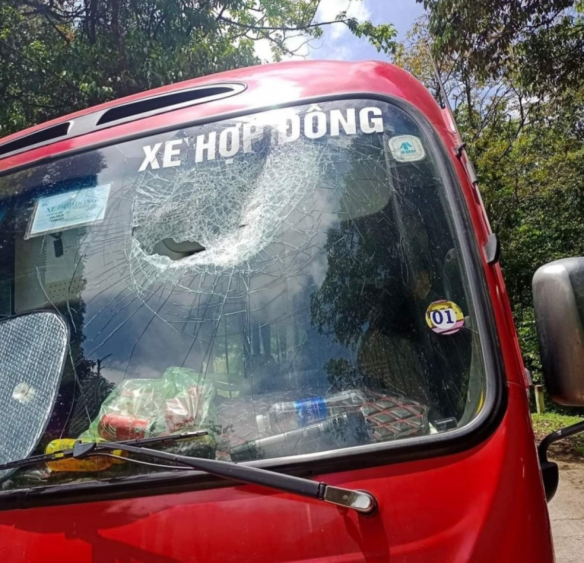 người rừng.jpg