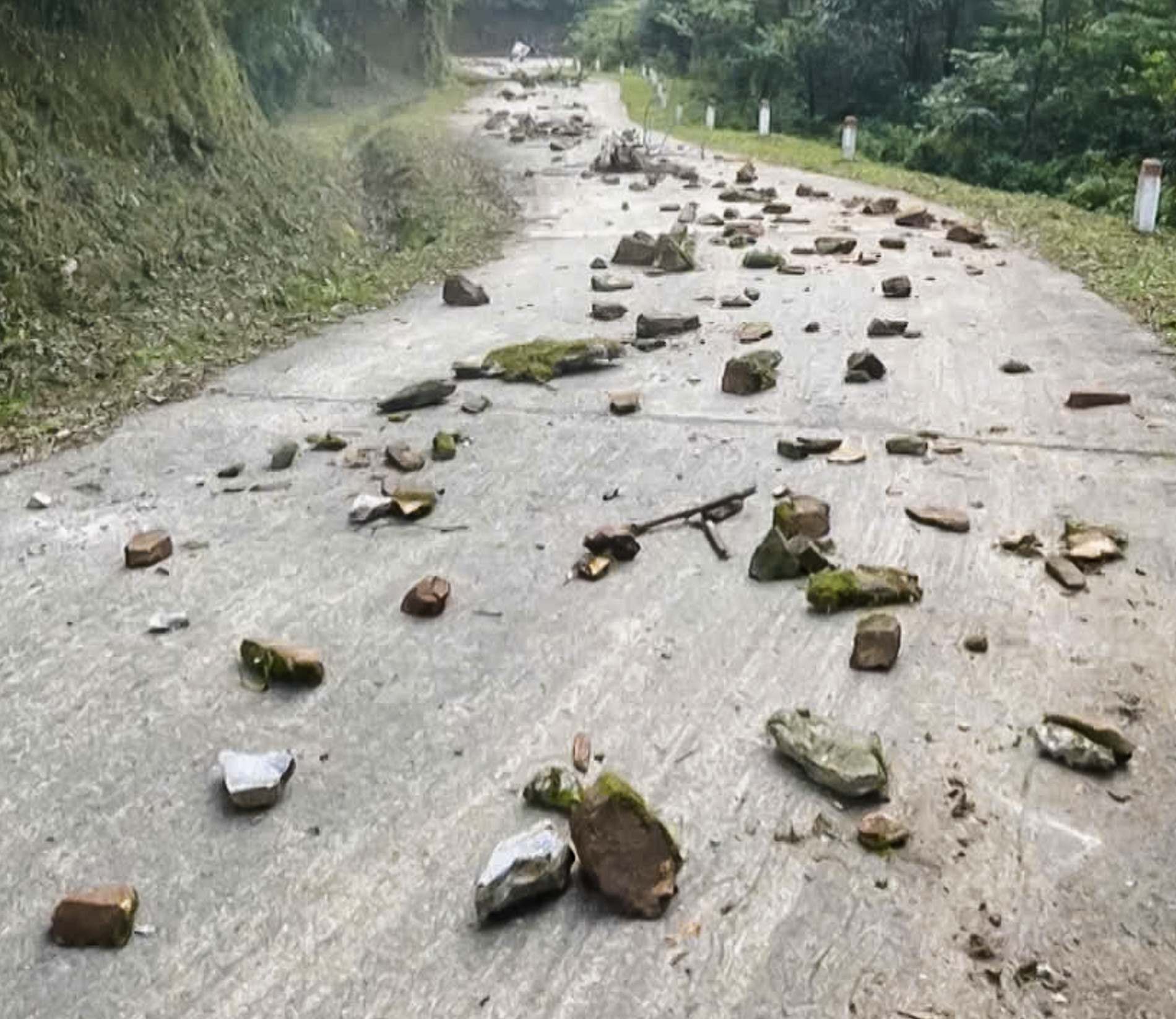 Người rừng_5.jpg