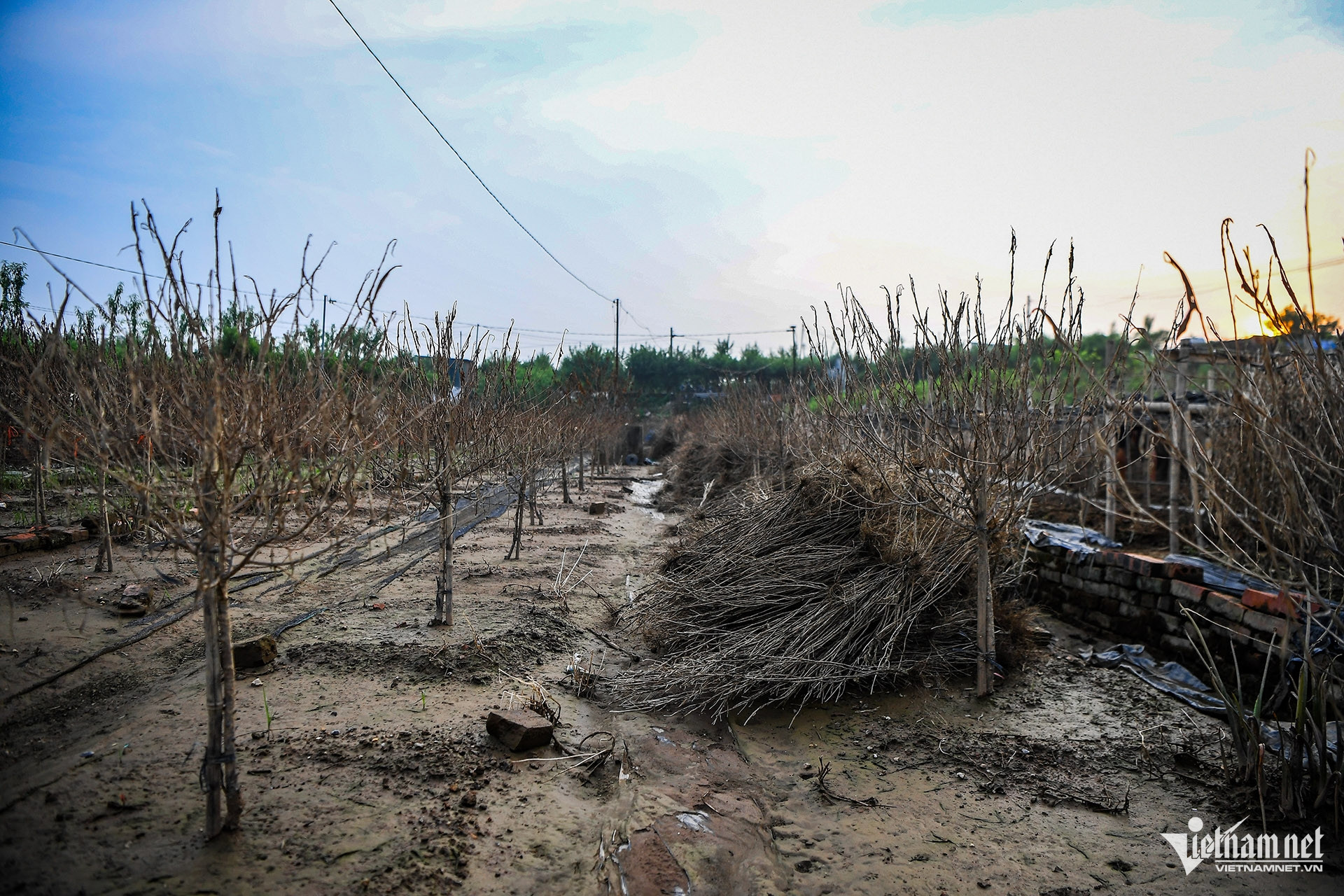 W-DAO NHAT TAN MAT TRANG TRAN DUC ANH 7.jpg