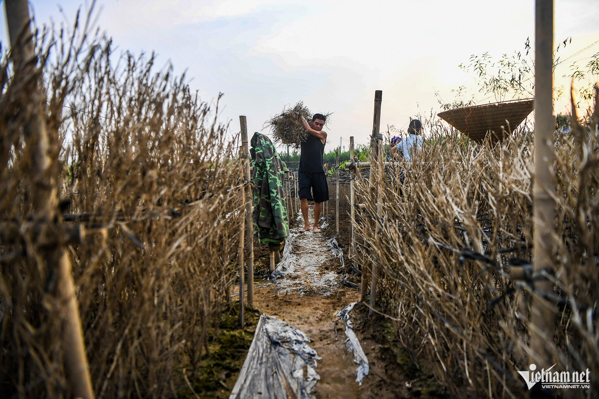 W-DAO NHAT TAN MAT TRANG TRAN DUC ANH 8.jpg