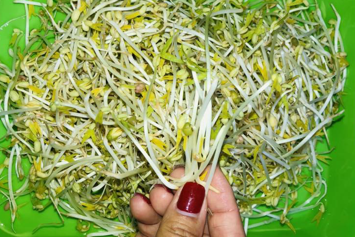 3 lưu ý để chọn giá đỗ không chứa chất cấm