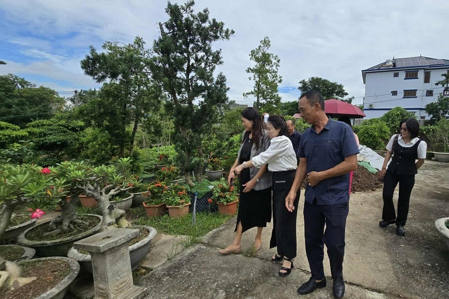 Sơn Qui chung sức, đồng lòng về đích nông thôn mới kiểu mẫu