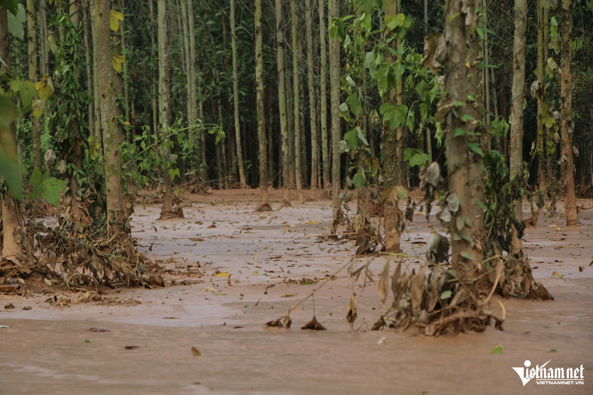 W-nhà máy luyện ngang thép tháu nguyên_1.JPG.jpg