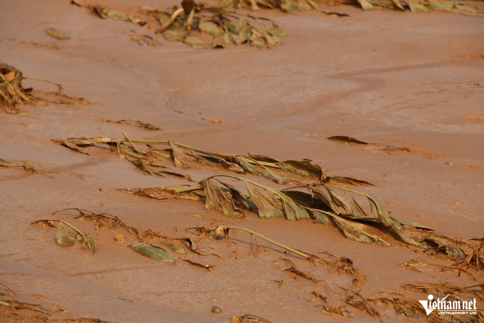 W-nhà máy luyện ngang thép tháu nguyên_5.JPG.jpg