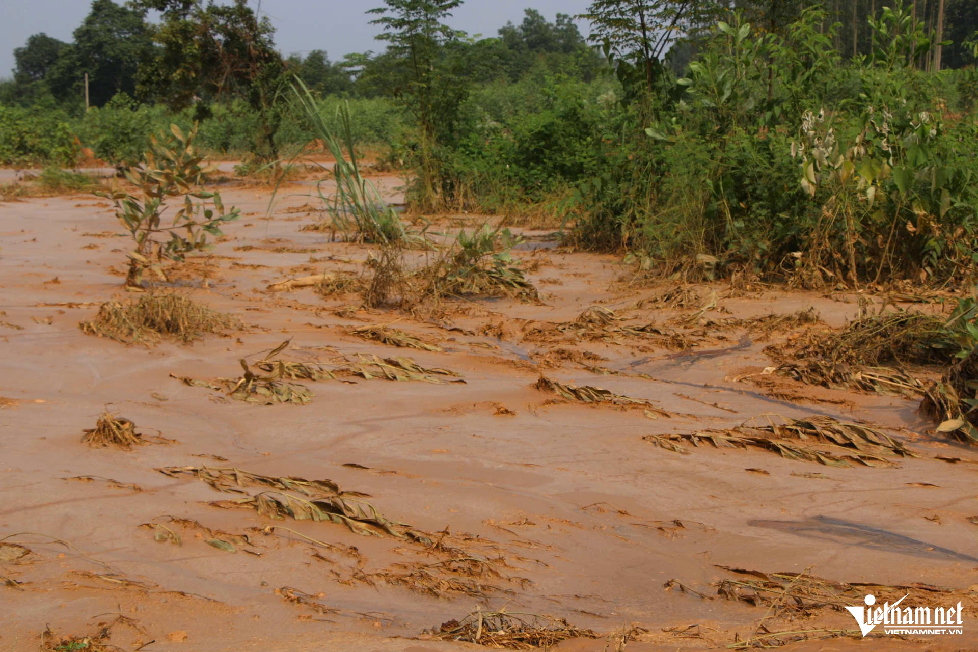 W-nhà máy luyện ngang thép tháu nguyên_8.JPG.jpg