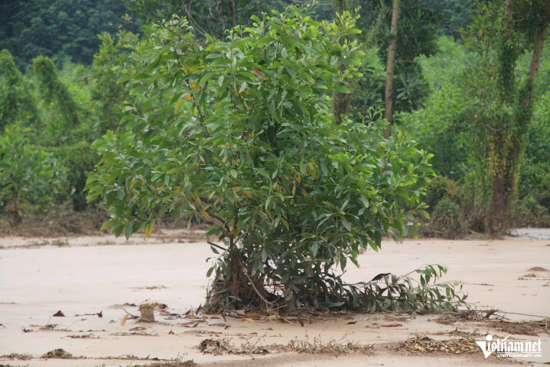 W-nhà máy luyện ngang thép tháu nguyên_9.JPG.jpg