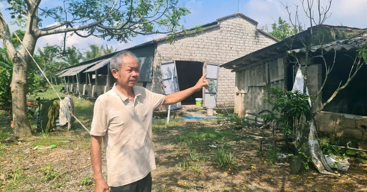 Loạt trang trại ở Thanh Hóa bị đình trệ vì chậm đấu thầu đất công ích