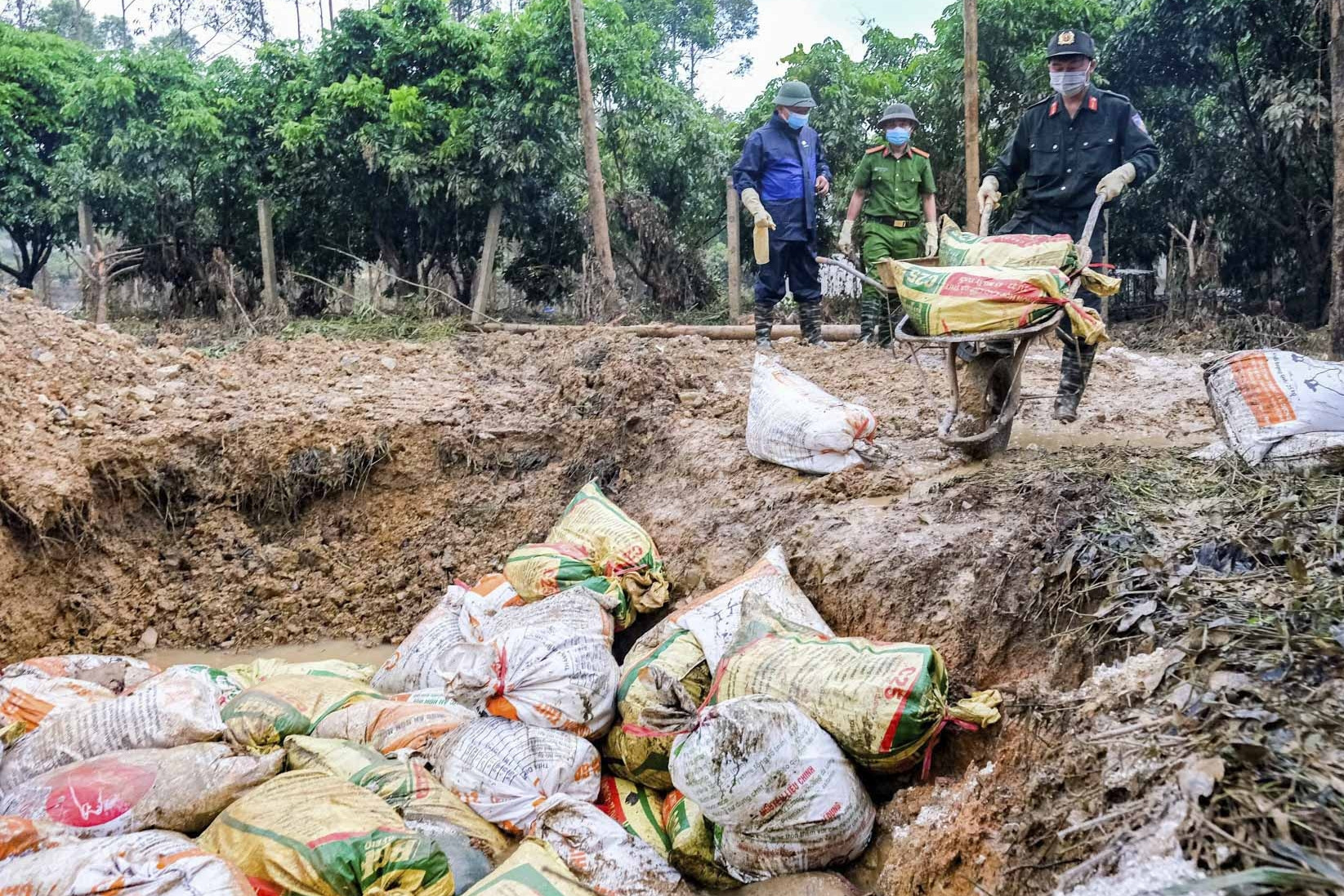 6.500 con gà chết trong lũ, nữ chủ trang trại khóc nghẹn: 'Tôi mất trắng rồi'
