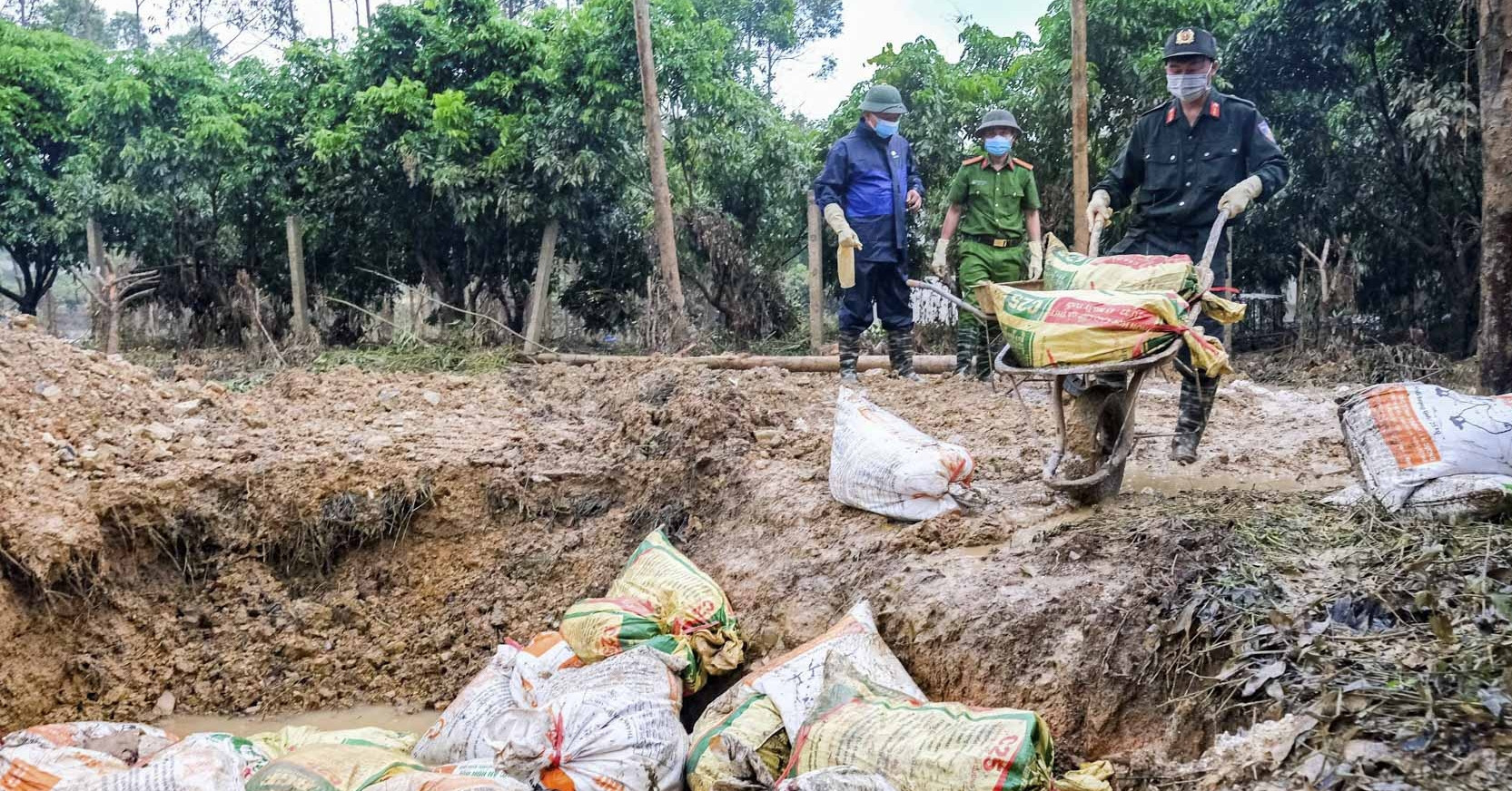 6.500 con gà chết trong lũ, nữ chủ trang trại khóc nghẹn: &amp;apos;Tôi mất trắng rồi&amp;apos;