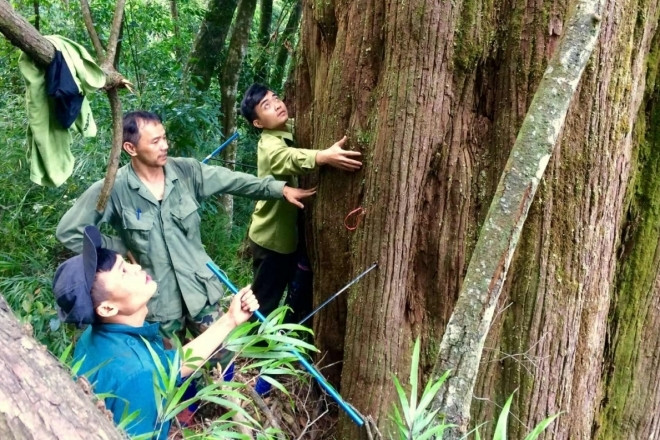 Những điều kỳ thú ở đại ngàn Vũ Quang