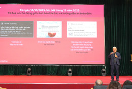 TikTok Việt Nam.jpg