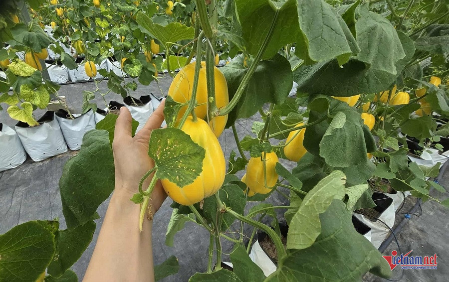 W-8da4e9fa 388b 4804 b2b2 f0b6f88ed443.jpg