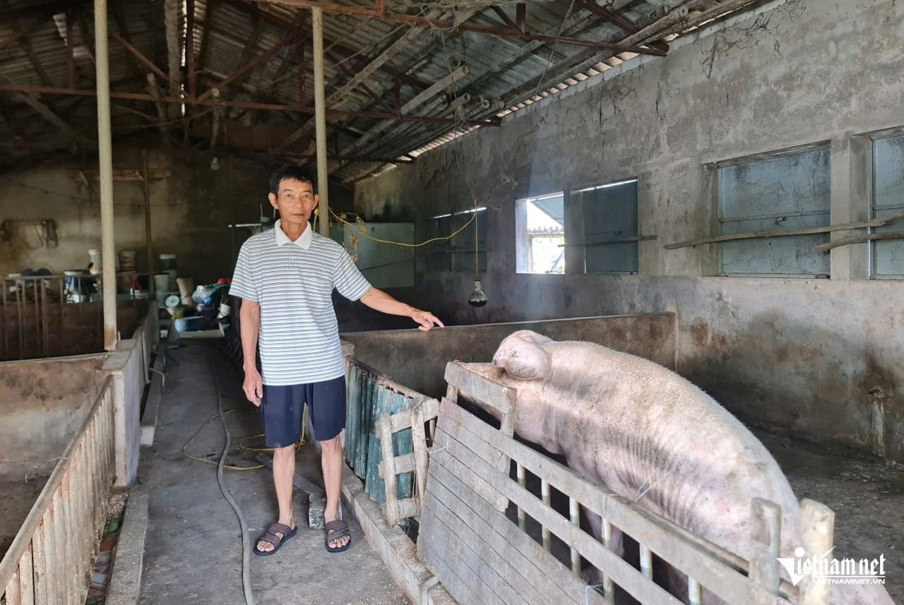 W-a1Hàng loạt trang trại.jpg